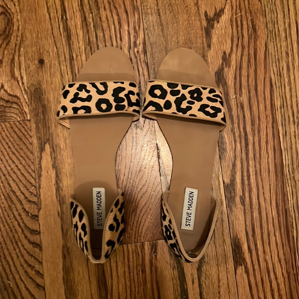 Steve Madden Shoes